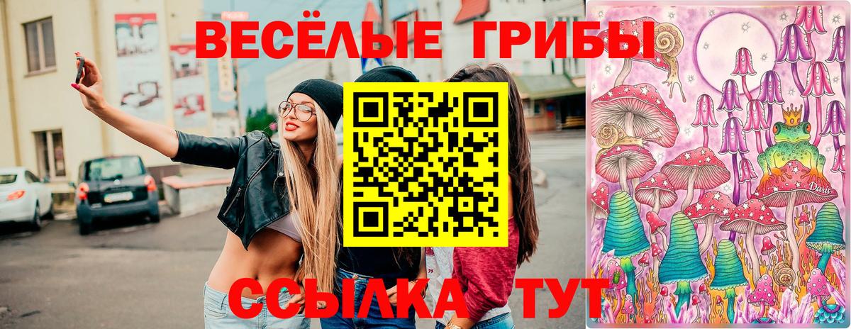 Псилоцибиновые грибы мицелий Фурманов